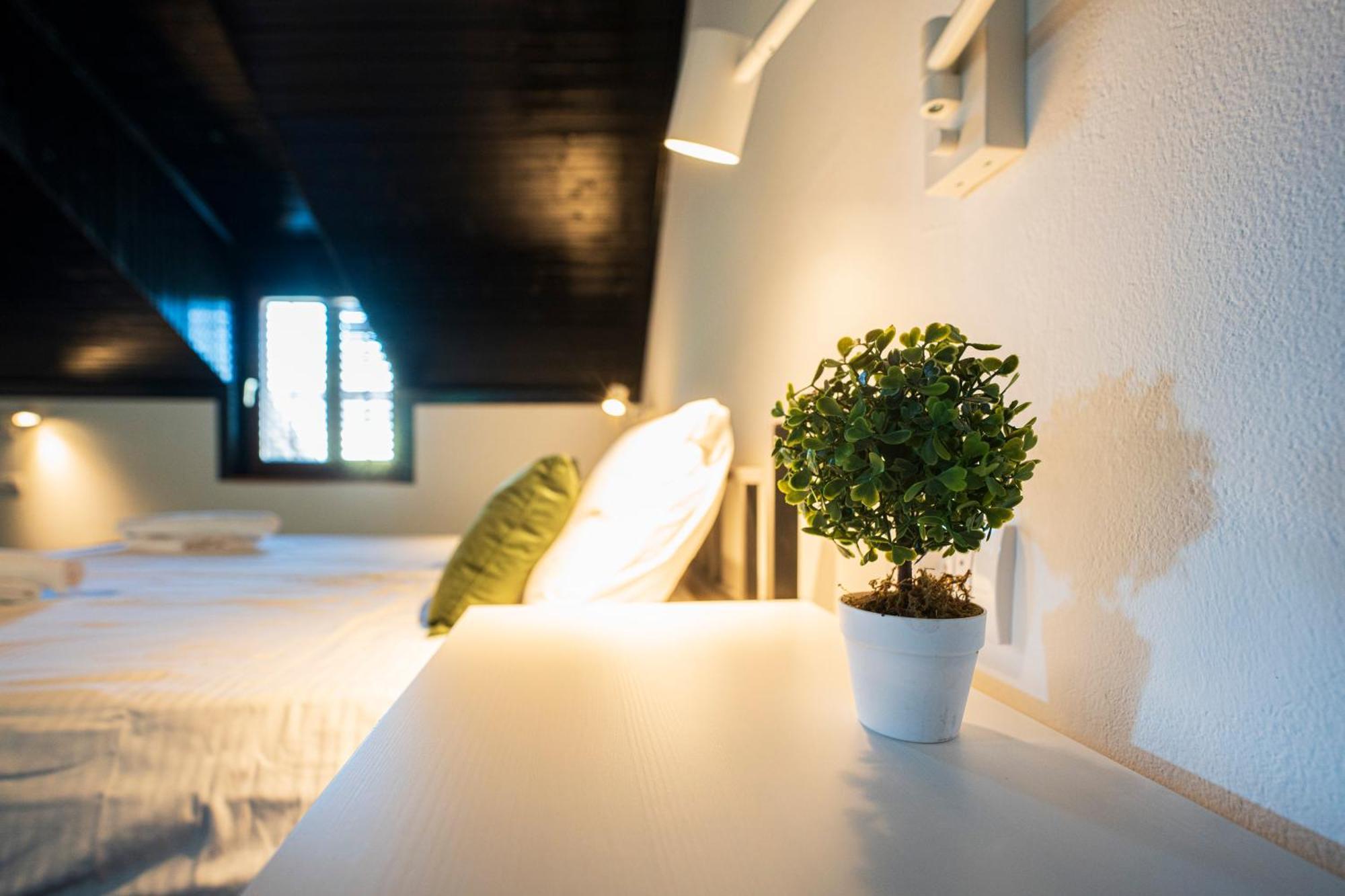 Cozy Nook B&B - Free Private Parking Novi Sad Ngoại thất bức ảnh